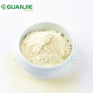 Fornecedor de Pó de Limão Liofilizado em Grande Escala, Pó de Limão de Alta Pureza - Product Image 3