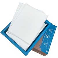 Feuilles de lessive en papier avec enzymes solides, fournisseur et fabricant d'usine d'origine