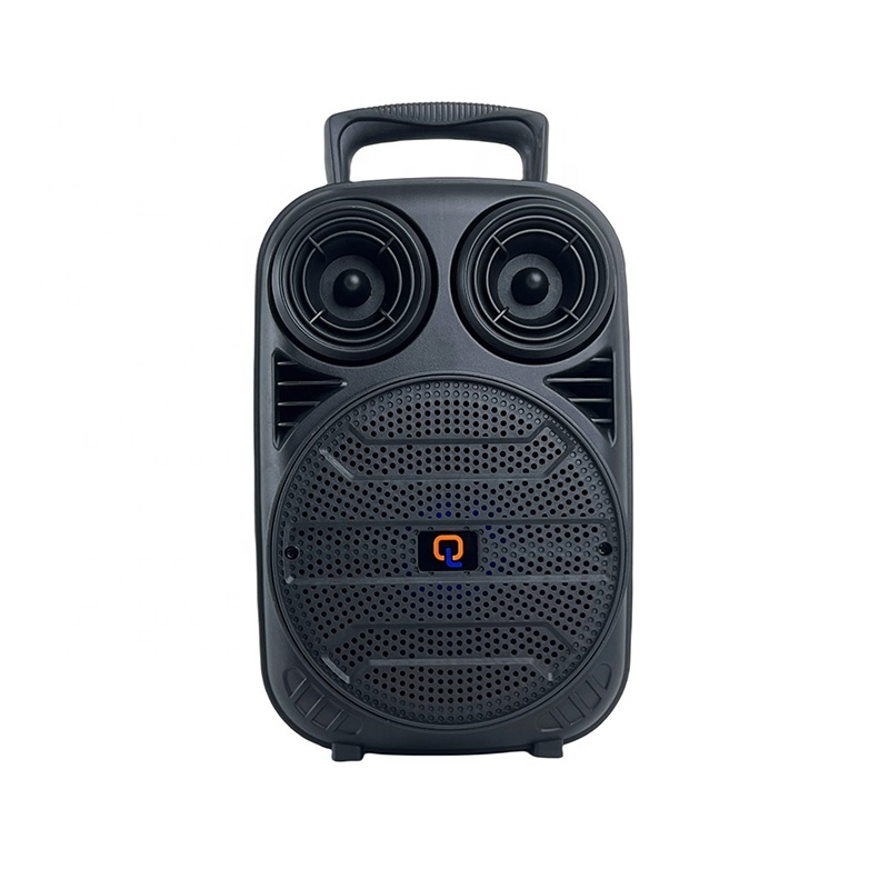 6 5 Inch Budget Karaoke Speaker
