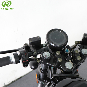 Motocicletta Elettrica 2000W con Pneumatici Larghi, Stile Retrò, Batteria agli Ioni di Litio Rimovibile, Supporto OEM - Product Image 4