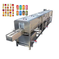 Tunnel de bouteille en verre recyclé entièrement automatique Machine de lavage et de séchage de pasteurisateur Équipement de rinçage de bouteille de vin