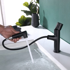 ユニークなデザインのウォッシュシンクミキサープレスボタンマットブラックベイスン蛇口引き出し式スプレー付き - Product Image 4