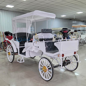 High Quality Tourism Pure White Black Seat Sightseeing Carriage, Tourist Attractions, Hotels, Sightseeing Carriage - Product Image 4