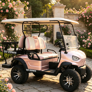 Voiturette de golf électrique personnalisée avec climatisation, 4 passagers, garantie de 2 ans, pour usage commercial multi-scènes - Product Image 1