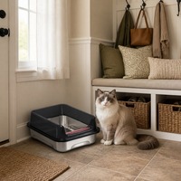 Bac à litière pour chat, toilette pour chat d'appartement, grande capacité, sans poussière, anti-adhésif, sans odeur, vente en gros, résistant aux intempéries