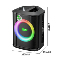 Haut-parleur de karaoké haute puissance DP-899 de 8 pouces avec écran intégral, éclairage LED RGB, subwoofer et télécommande pour appairage TWS – Vente en gros