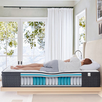 Matelas Personnalisé OEM/ODM Mobilier de Chambre Luxe Double Orthopédique Taille King Hybride Compressé sous Vide