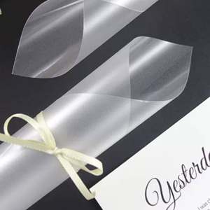 <span class=keywords><strong>Film</strong></span> de verre dépoli 3D matériau PET auto-adhésif 2 mil d'épaisseur Design moderne pour la maison, le bureau, les fenêtres et les portes - Product Image 2