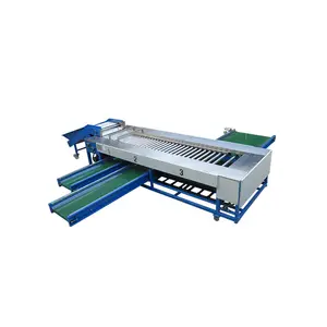 Automatic Fruit Grading Machine Auto Industrial Fruits Weight Sorting Line Machines Equipment Machinery Cheap Price For Sale