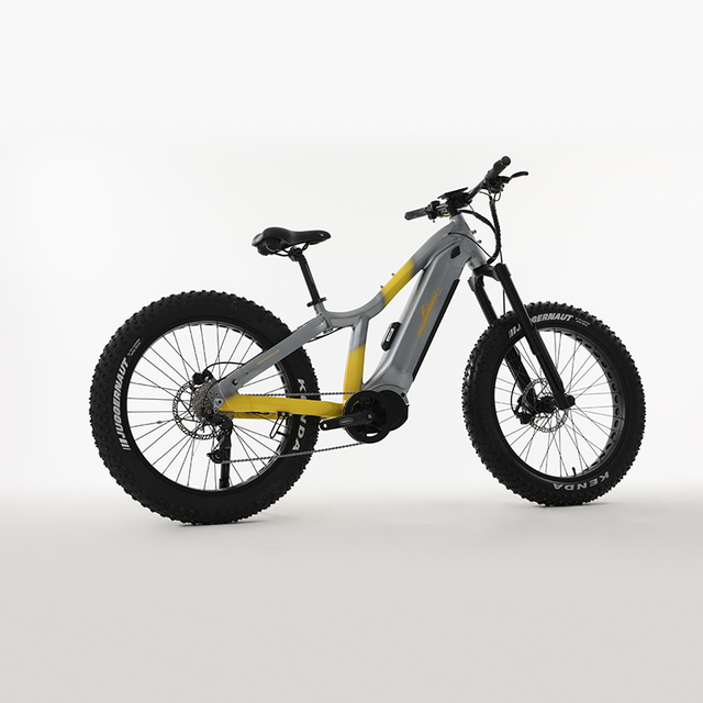 Electric Cycle 1000w Electric Mountain Bike with Hidden Battery E Bike 26 Inch Frame Electric Bicycle