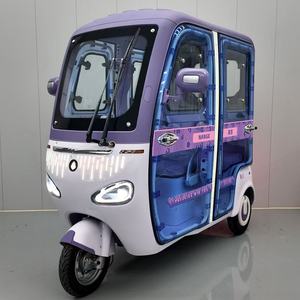 2025 haute qualité 400 AC 60V Tricycle électrique 4 roues voiture de tourisme grand espace bas prix 1000W 60V fermé Certification CEE - Product Image 1