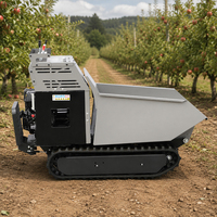 500KG Mini-Raupendumper mit Benzinantrieb und Hydraulischer Hebevorrichtung für Landwirtschaft und Landschaftsbau