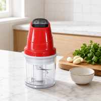 Hachoir à ail puissant personnalisé pour la cuisine, hachoir à salade, mini hachoir à viande électrique portable