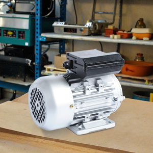 Motor Monofásico de CA de 220V con Velocidad de 2800 rpm, Totalmente Cerrado y Frecuencia de 50Hz - Product Image 2