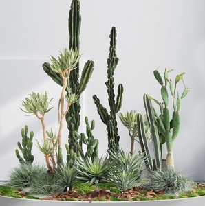 Simulation Cactus En Pot Grandes Plantes Fée D'europe Du Nord <span class=keywords><strong>Colonne</strong></span> Intérieur Scène Fenêtre Décoration Pièces - Product Image 5