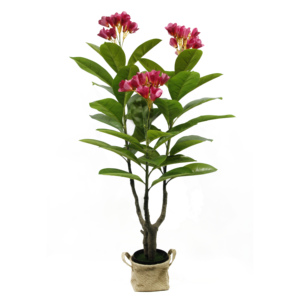 Proveedores de Guangdong Plantas verdes falsas de alta simulación con maceta Plumeria Rubra Árbol de flores rojas para decoración interior y exterior - Product Image 3