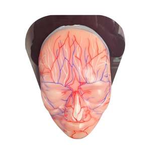 Modèle vasculaire et nerveux facial en silicone - Outil pédagogique d'anatomie de la tête humaine pour la formation médicale - Product Image 5