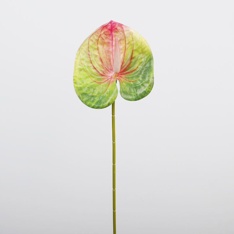 ชมพู เขียว