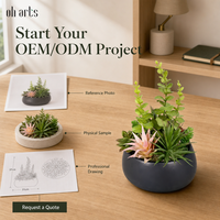 OH ARTS Plantes succulentes artificielles au toucher réel en pot, fausse verdure UV, mini bonsaï sans entretien pour la décoration de la maison et du jardin