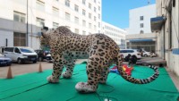Modèle de guépard gonflable géant / Décoration d'événements de festival de musique pop, idées d'animaux simulés : léopard, panthère