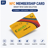 Carte intelligente RFID sans contact sécurisée avec puce EV3 2K pour le contrôle d'accès hôtelier et la gestion de l'hôtellerie