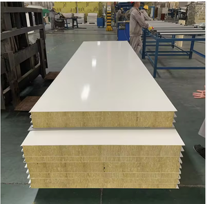 Panneaux sandwich en <span class=keywords><strong>laine</strong></span> <span class=keywords><strong>de</strong></span> roche d'acier pour salles blanches pharmaceutiques et chambres froides - Absorption acoustique, ignifuge, isolé - Product Image 2