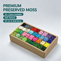 Mousse de renne stabilisée verte naturelle, Kit DIY, Décoration murale artistique, Décoration florale, Halloween, Longue durée 3-5 ans, pour la décoration d'événements