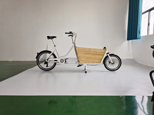 Vélo cargo électrique à deux roues pour bébé avec batterie au lithium, cadre en alliage d'acier/d'aluminium, <span class=keywords><strong>remorque</strong></span> familiale pour vélo - Product Image 2