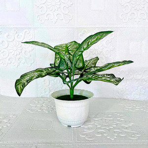 Plante verte artificielle en pot à huit feuilles, en tissu et plastique, plante d'intérieur décorative, article cadeau - Product Image 1