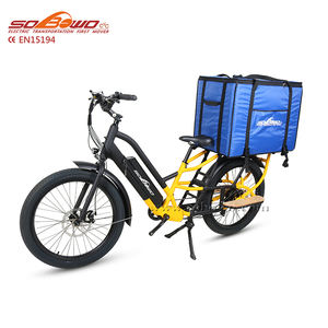 Vélo familial <span class=keywords><strong>cargo</strong></span> bafang électrique à moteur central 48v livraison de fret e bike adulto 750w eu <span class=keywords><strong>velo</strong></span> <span class=keywords><strong>electrique</strong></span> longue queue <span class=keywords><strong>cargo</strong></span> enfants - Product Image 5
