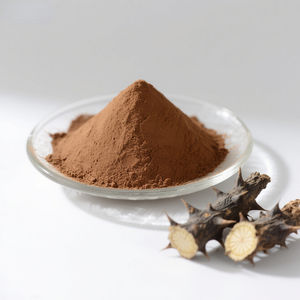 Pure 100% <span class=keywords><strong>Acanthopanax</strong></span> Senticosus Extrato Em Pó Premium Extrato De Planta - Product Image 3