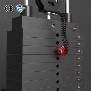 VIGFIT Équipement de musculation professionnel, machine de gym <span class=keywords><strong>à</strong></span> domicile, blocs de poids pour machine d'exercice, plateaux de poids pour Smith Machine - Product Image 1