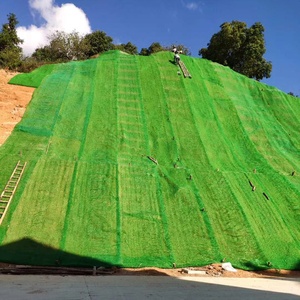 경사면 보호를 위한 3D 식생 네트워크 지오넷 조림 잔디 심기 지오매트 - Product Image 2