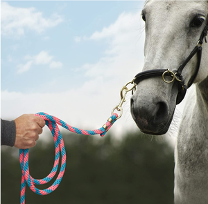 Vendita calda imbracatura cavallo integratore cavezza attrezzature all'ingrosso con corda di piombo altri prodotti di cavallo - Product Image 2