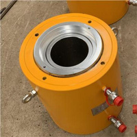 Cric hydraulique de 60 tonnes 80 tonnes 100 tonnes 200 tonnes pour la transmission hydraulique de tension de poteau