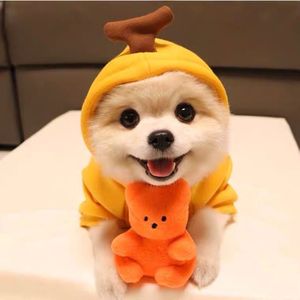 Fruit Pattern Dog <b>Cat</b> Hoodie Polyester Fleece Cute Autumn Winter <b>Clothes</b> Small Medium Pets - Product Image 1