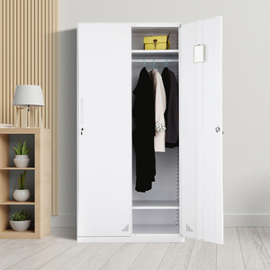 Luoyang, casillero de almacenamiento de Metal de 2 puertas, gabinete de acero moderno para ropa de personal de gimnasio, uso en el hogar y la Oficina para almacenamiento de cocina, venta al por mayor - Product Image 4