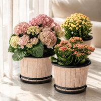 Pot Bunga Vintage Gaya Cina Baru dengan Relief Bulu PP, Tebal dan Bernapas, Dekoratif untuk Dalam Ruangan, Dirancang Khusus untuk Anggrek.