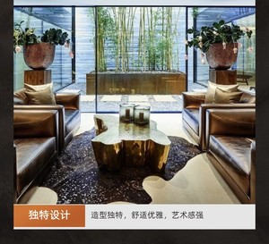 <span class=keywords><strong>Table</strong></span> <span class=keywords><strong>basse</strong></span> en acier inoxydable doré de style luxe léger, forme de <span class=keywords><strong>tronc</strong></span> <span class=keywords><strong>d</strong></span>'<span class=keywords><strong>arbre</strong></span> irrégulière moderne 2023, <span class=keywords><strong>avec</strong></span> rangement, meubles de salon - Product Image 6