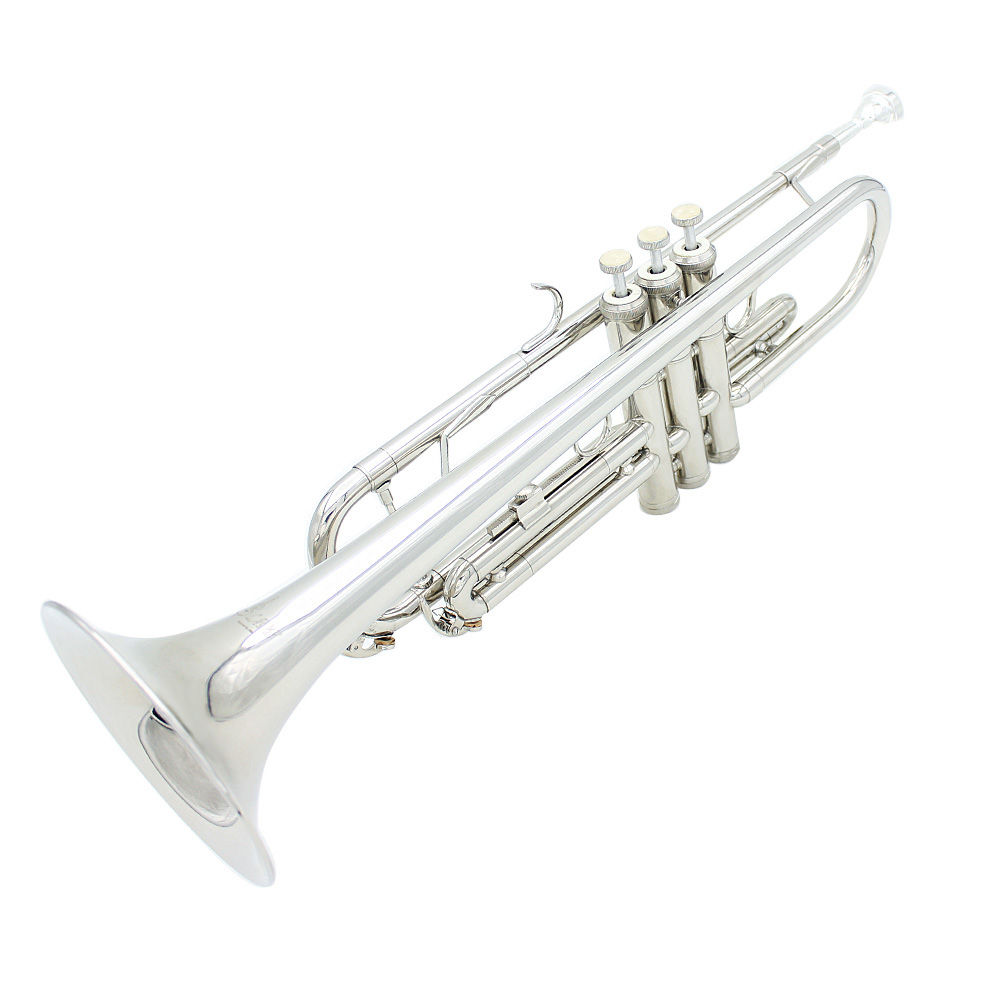 SLADEプロフェッショナルOEM管楽器カラーBbベースフラット
