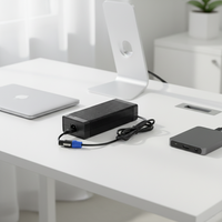 Chargeur de batterie au lithium ternaire 46,2 V 5 A à port XT60 avec protection IP20 et arrêt automatique – Vente directe usine Lianyunda