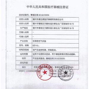 Kzy-01 Anti-Bedsore Air Mattress For Elderly And Adults With Inflatable <b>Bed</b> Design For Patient Care - Product Image 1