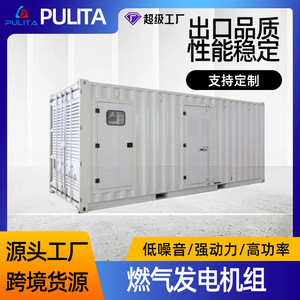 Generador de Gas de 1000 Kw Trifásico 440 V para Uso en Granjas y Campos Petroleros - Product Image 5
