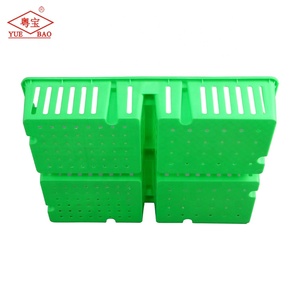 Day <span class=keywords><strong>Old</strong></span> Chicks Transportation Box Jaulas de pollo duraderas para un transporte seguro y protegido - Product Image 2