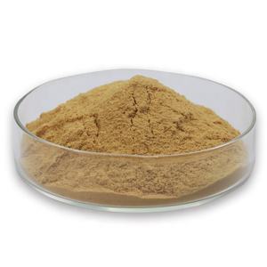 Оптовые поставки высококачественного Экстракта астрагала в порошке - Product Image 1