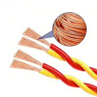 Câble électrique torsadé RVS pour alarme incendie, fil de cuivre isolé PVC pour système de diffusion d'urgence