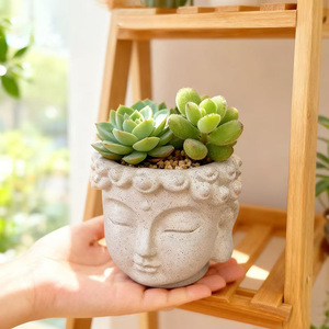 <span class=keywords><strong>Pot</strong></span> <span class=keywords><strong>de</strong></span> fleurs succulentes <span class=keywords><strong>de</strong></span> style zen en forme <span class=keywords><strong>de</strong></span> figurine, design tête <span class=keywords><strong>de</strong></span> <span class=keywords><strong>Bouddha</strong></span>, émotionnellement stable, style bouddhiste, haut <span class=keywords><strong>de</strong></span> gamme, pour bureau - Product Image 2