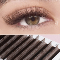Extensions de cils en soie volume 3D 4D 5D 6D YY, plateaux individuels, noir mat foncé, brun, en cachemire, vente en gros