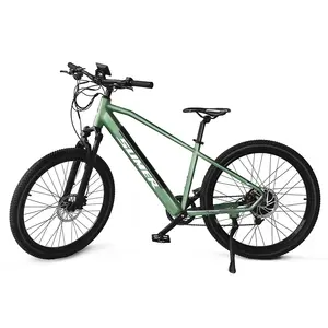 Lega Auspension adulti E bici grasso pneumatico elettrico Mountain Bike per gli uomini Mountain Bike