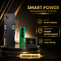 Lifepo4 BMS 4s-24s 1a/2a Sistem Manajemen Baterai Aktif dengan Penyeimbang Pintar Jk Lifepo4 Bms